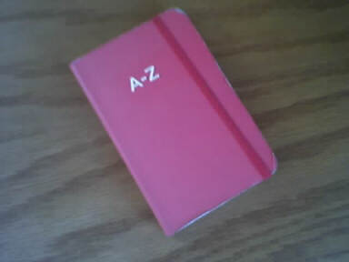 pinkbook.jpg